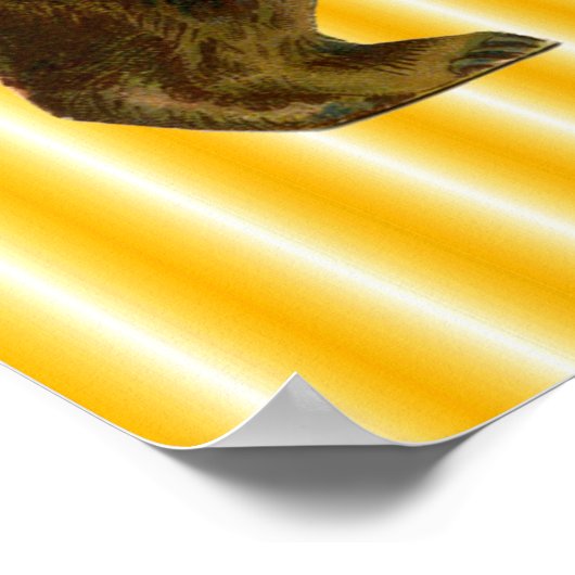 Poster ours de cirque vintage (Coin)