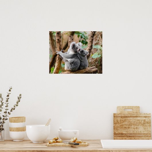 Poster Ours de Koala (Cuisine)