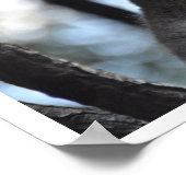 Poster Ours de Koala dans l'arbre (Coin)