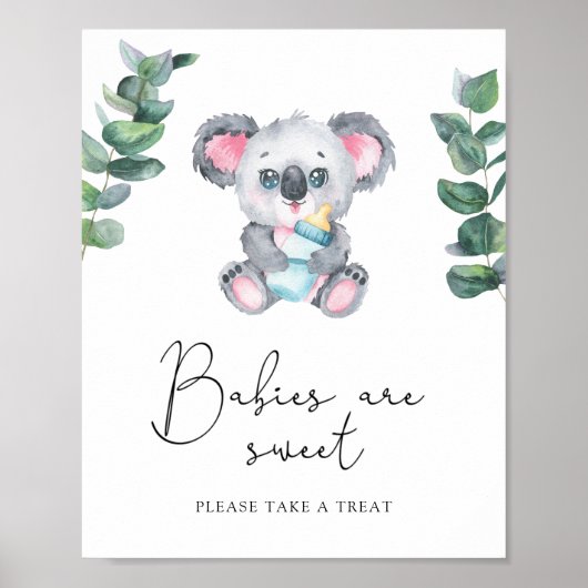 Poster Ours de Koala - les bébés sont doux (Devant)