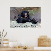 Poster Ours de miel (Ours du soleil) Photo (Cuisine)