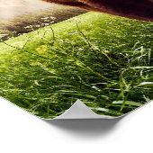 Poster Ours de montagne (Coin)