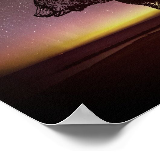 Poster Ours De Nuit Et Aurora Borealis (Coin)