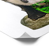 Poster Ours de panda (Coin)
