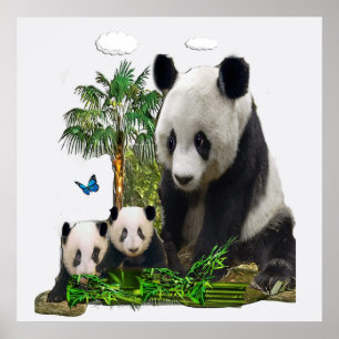 Poster Ours de panda