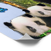 Poster Ours de panda (Coin)