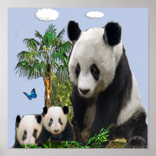 Poster Ours de panda