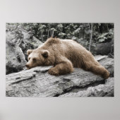 Poster Ours de sommeil sur le Cabine rustique du journal (Devant)