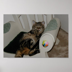 Poster Ours de Tasha