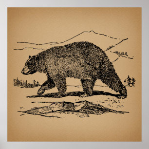 Poster Ours d'époque Illustré Ours Vintage