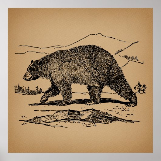 Poster Ours d'époque Illustré Ours Vintage (Devant)
