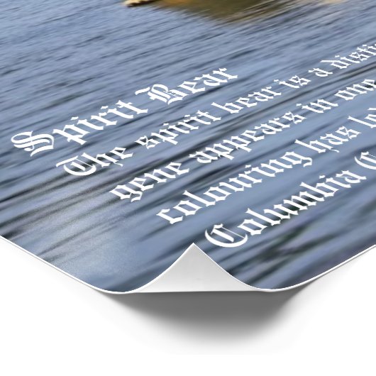 Poster Ours d'esprit (Coin)