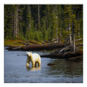 Poster Ours d'esprit (Devant)