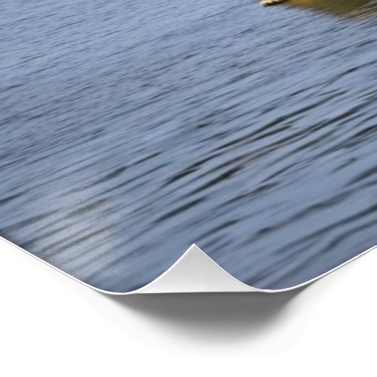 Poster Ours d'esprit (Coin)