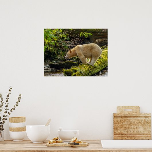 Poster Ours d'esprit blanc (Cuisine)