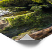 Poster Ours d'esprit blanc | Colombie-Britannique, Canada (Coin)