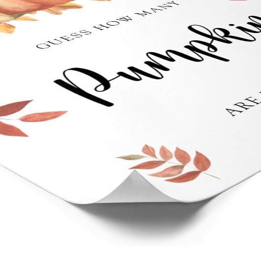 Poster Ours - devinez combien de citrouilles (Coin)