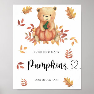 Poster Ours - devinez combien de citrouilles