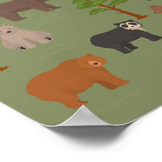 Poster Ours du monde (Coin)