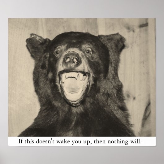 Poster Ours effrayant (Devant)