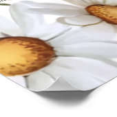 Poster Ours en peluche fantaisiste (Coin)