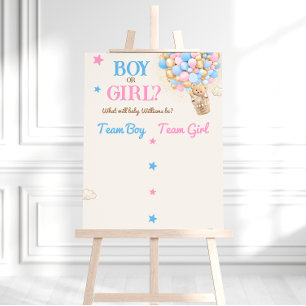 Poster Ours en peluche révélation du sexe Rose Bleu Panne