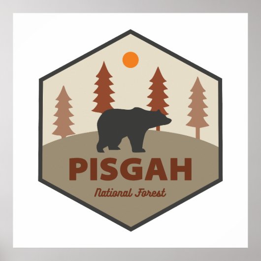 Poster Ours forestier national de Pisgah (Devant)
