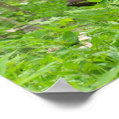 Poster Ours fumé (Coin)