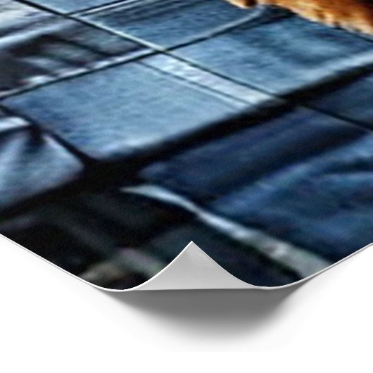 Poster Ours grizzli (Coin)