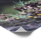 Poster Ours Grizzli debout (Coin)