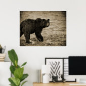 Poster Ours grizzli en antiquité (Bureau à domicile)