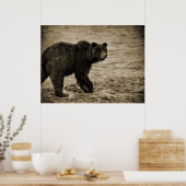 Poster Ours grizzli en antiquité (Cuisine)