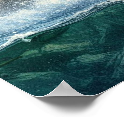 Poster Ours grizzlis avec saumon à truite arc-en-ciel 24x (Coin)