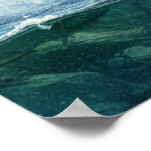 Poster Ours grizzlis avec saumon à truite arc-en-ciel 36x (Coin)