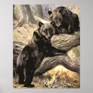 Poster Ours grizzlis par CE Swan, Animaux forestiers Vint