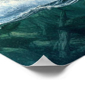 Poster Ours Grizzly avec saumon à truite arc-en-ciel 16x2 (Coin)