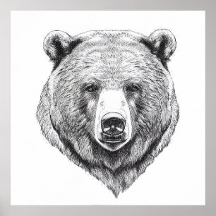 Poster Ours Grizzly Nature sauvage Illustration animale A