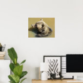 Poster Ours Grizzly Prenant un Bain (Bureau à domicile)