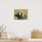Poster Ours Grizzly Prenant un Bain (Cuisine)