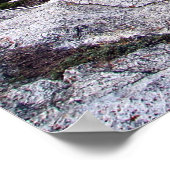 Poster Ours Hump I (Coin)