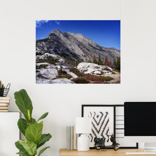 Poster Ours Hump I (Bureau à domicile)