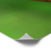 Poster Ours Koala de bébé aux yeux bleus (Coin)