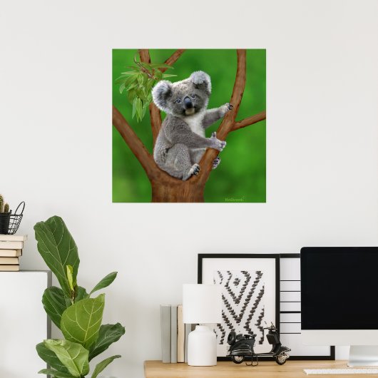 Poster Ours Koala de bébé aux yeux bleus (Bureau à domicile)