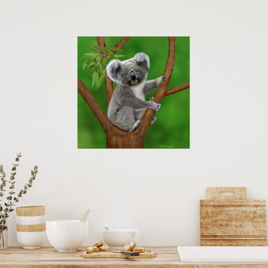 Poster Ours Koala de bébé aux yeux bleus (Cuisine)