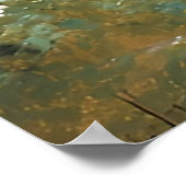 Poster Ours mère avec ses oursons dans un cadre forestier (Coin)