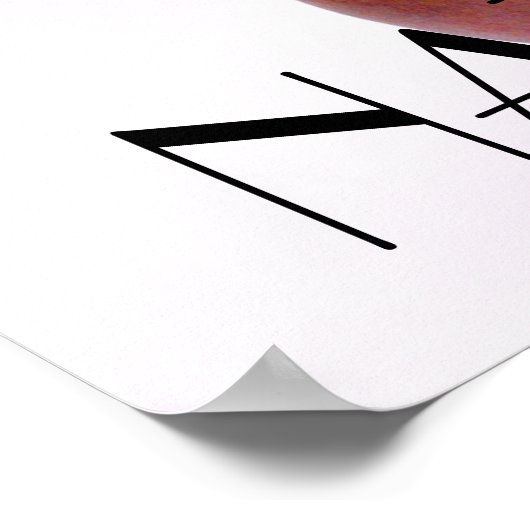 Poster Ours NATURE (Coin)