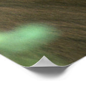 Poster Ours noir (Coin)