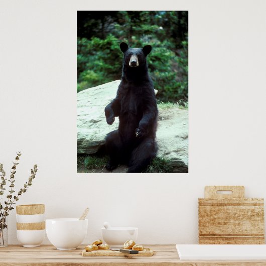 Poster Ours noir (Cuisine)