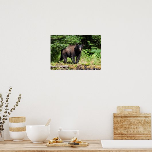 Poster Ours noir Alpha (Cuisine)