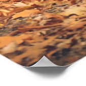 Poster Ours noir dans les bois d'automne (Coin)